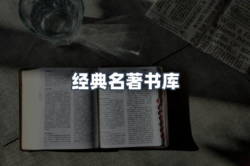 外文电子书系列
